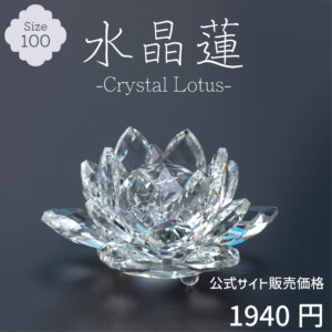 CR-REN100