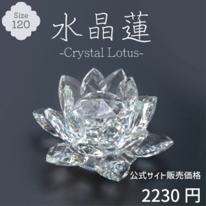 CR-REN120