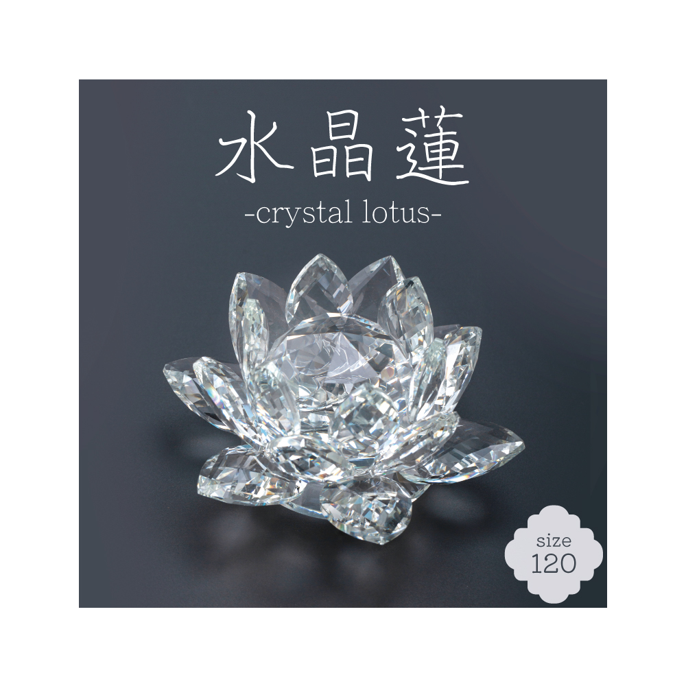 水晶蓮 -crystal lotus- 120サイズ