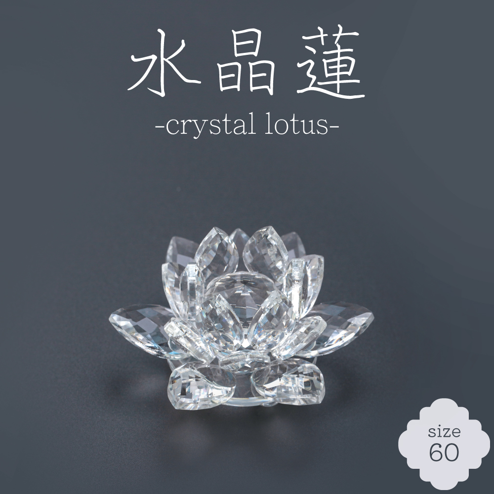 水晶蓮 -crystal lotus- 120サイズ - 【公式】カイドク館