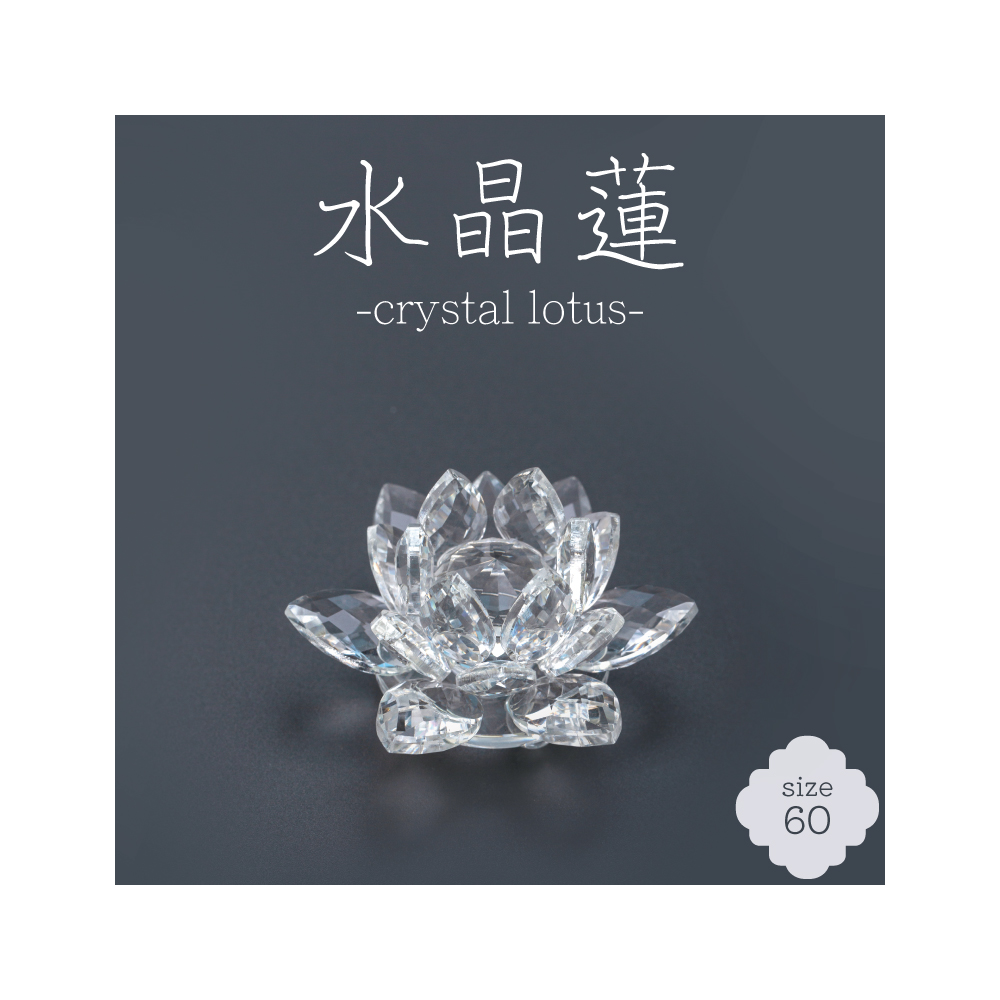 水晶蓮 -crystal lotus- 60サイズ