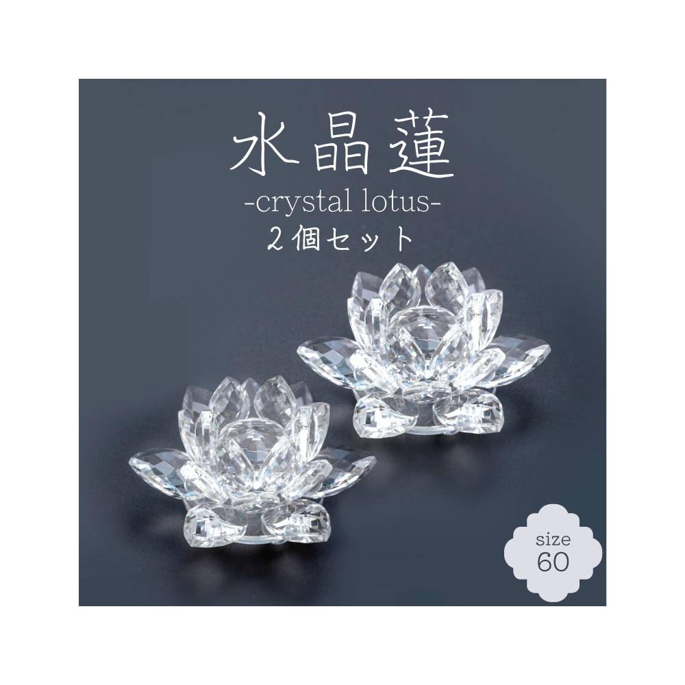 【2個セット】水晶蓮 -crystal lotus- 60サイズ