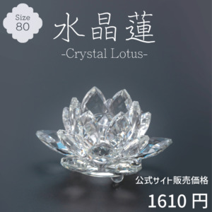 CR-REN80
