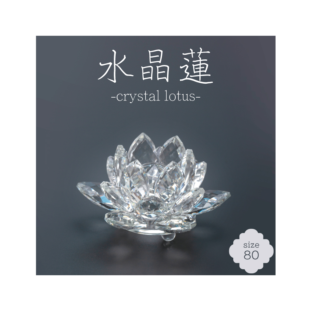 水晶蓮 -crystal lotus- 80サイズ