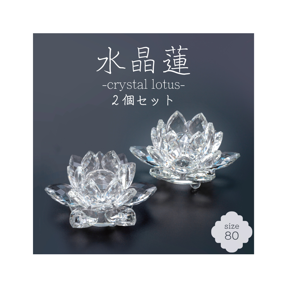 【2個セット】 水晶蓮 -crystal lotus- 80サイズ